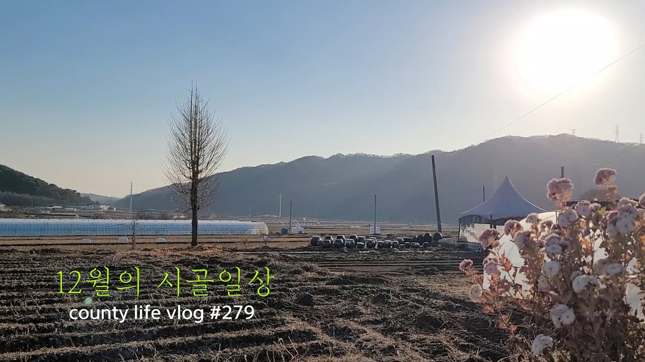 ENG | ❄️영하 15도에도 훈훈한 시골집을 위한 두가지 필수요소✌️월동채소 키우고 겨울냉이캐기🌿 시골냥이들의 겨울철 은신처 🐱 #시골일상 vlog #시골난방