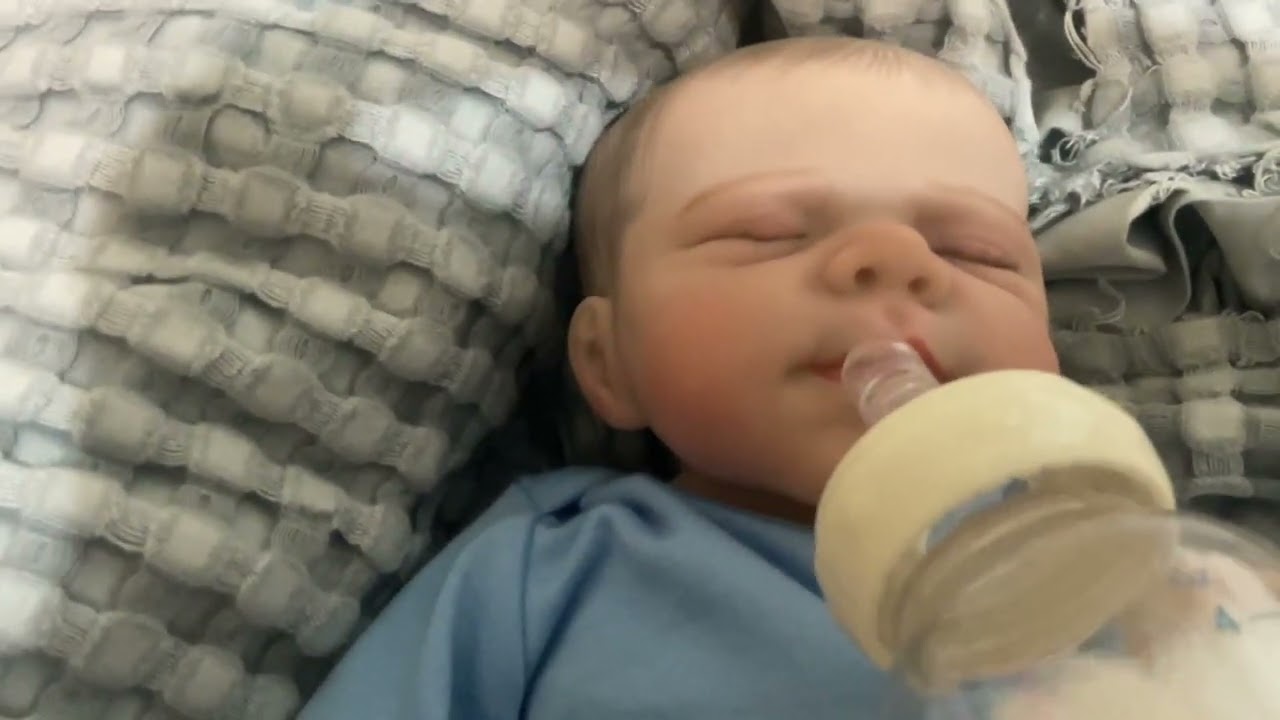 Leo’s morning routine 