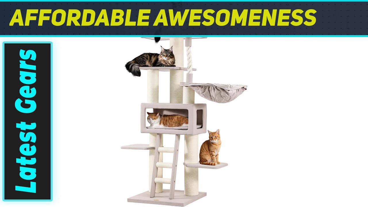 Sheripet Cat Tree: ИДЕАЛЬНЫЙ дворец для вашего мейн-куна!
