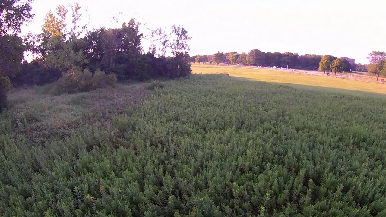 8-15-15 Ned Brown Meadow Flyaround + PRO LANDING!