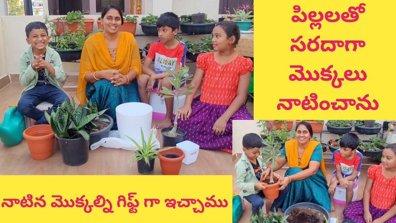 Gardening ideas for home | home garden ideas  @eetharamillalu
