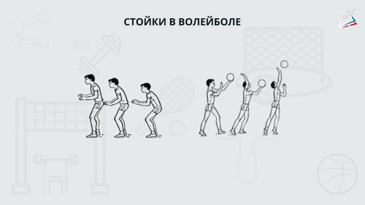 Стійка  Переміщення гравців у волейболі