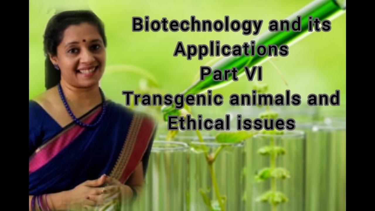 NEET: Biotechnology and Its Applications: Part VI Transgenic Animals and Ethical issues