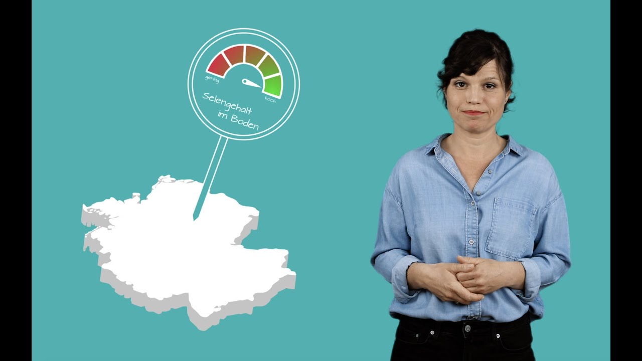 Die Schilddrüse braucht Selen