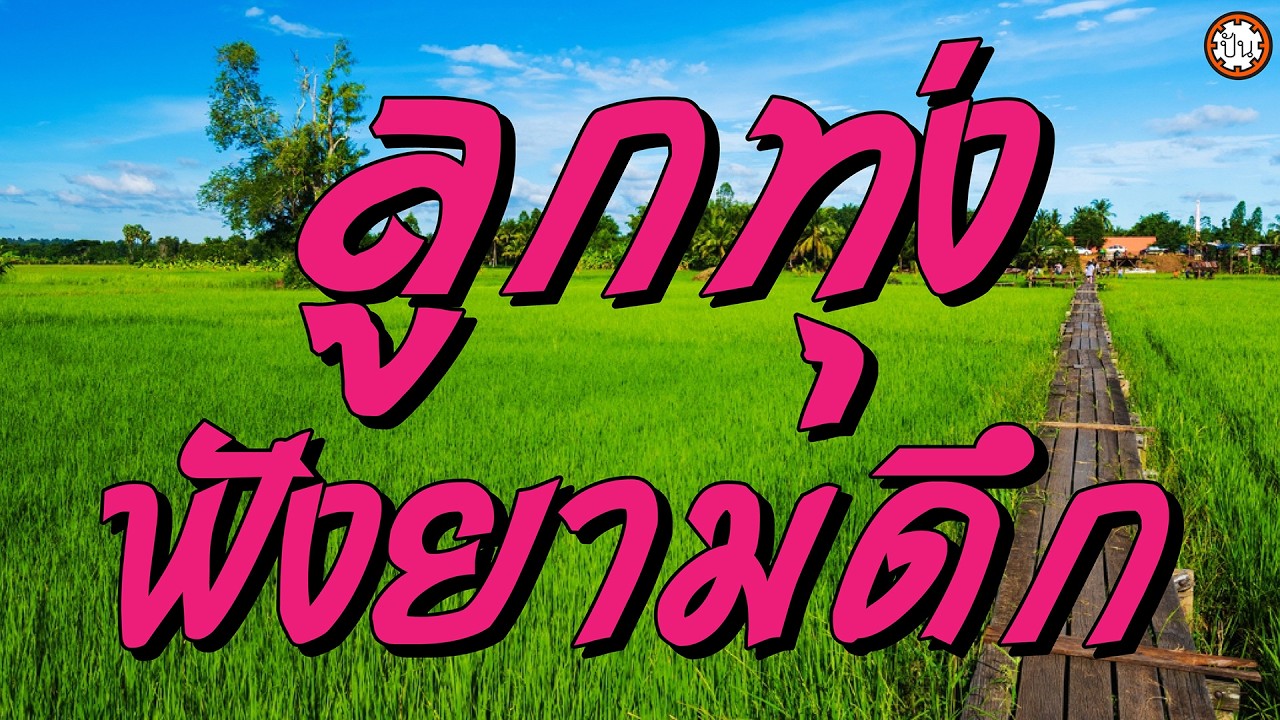 ลูกทุ่งฟังยามดึก เพลงเพราะในตำนาน ฟังยาวๆๆ #ลารักจากสวนแตง #แพ้รักเศรษฐี #น้ำตาไอ้ขวัญ