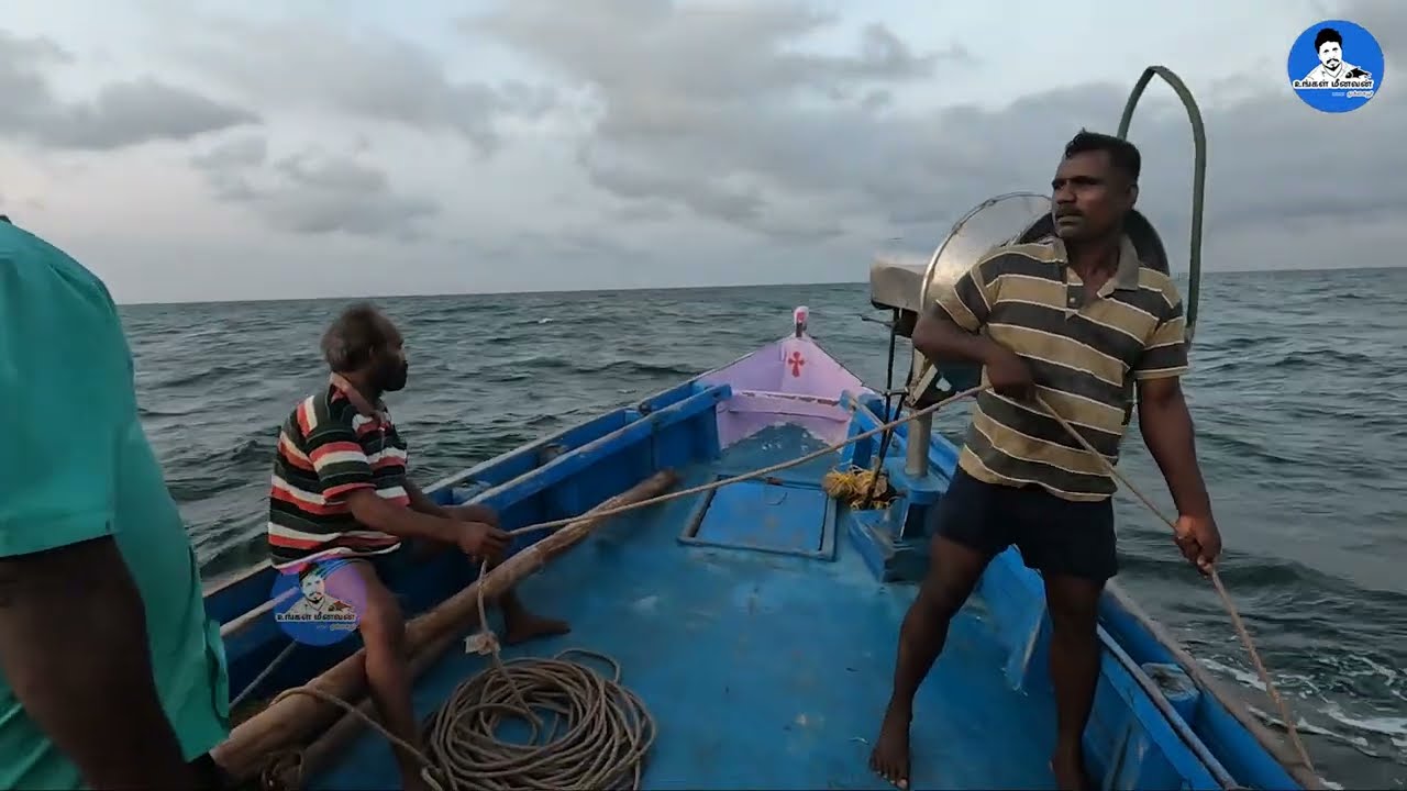 சங்கு வலை பிடித்து பிறகு பழைய சோறும் கருவாடும் | Shell catching in the sea