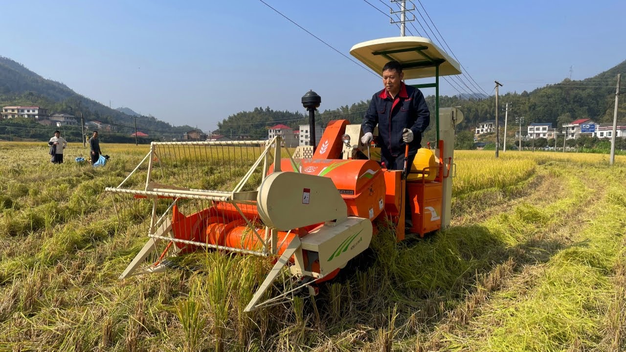 Wubota Amazing Mini Rice Harvesting Machine | Combine Paddy Harvester Machine