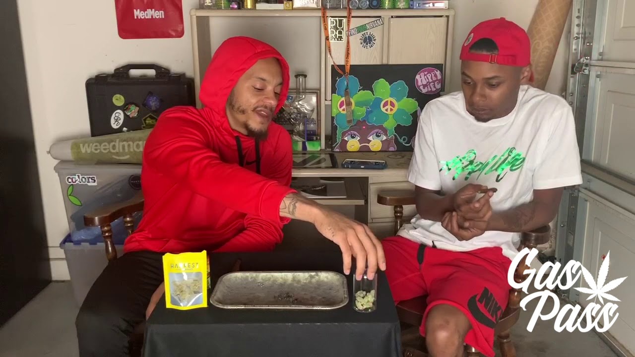 Grow Sciences vs. Harvest - Grease Monkey Strain Review