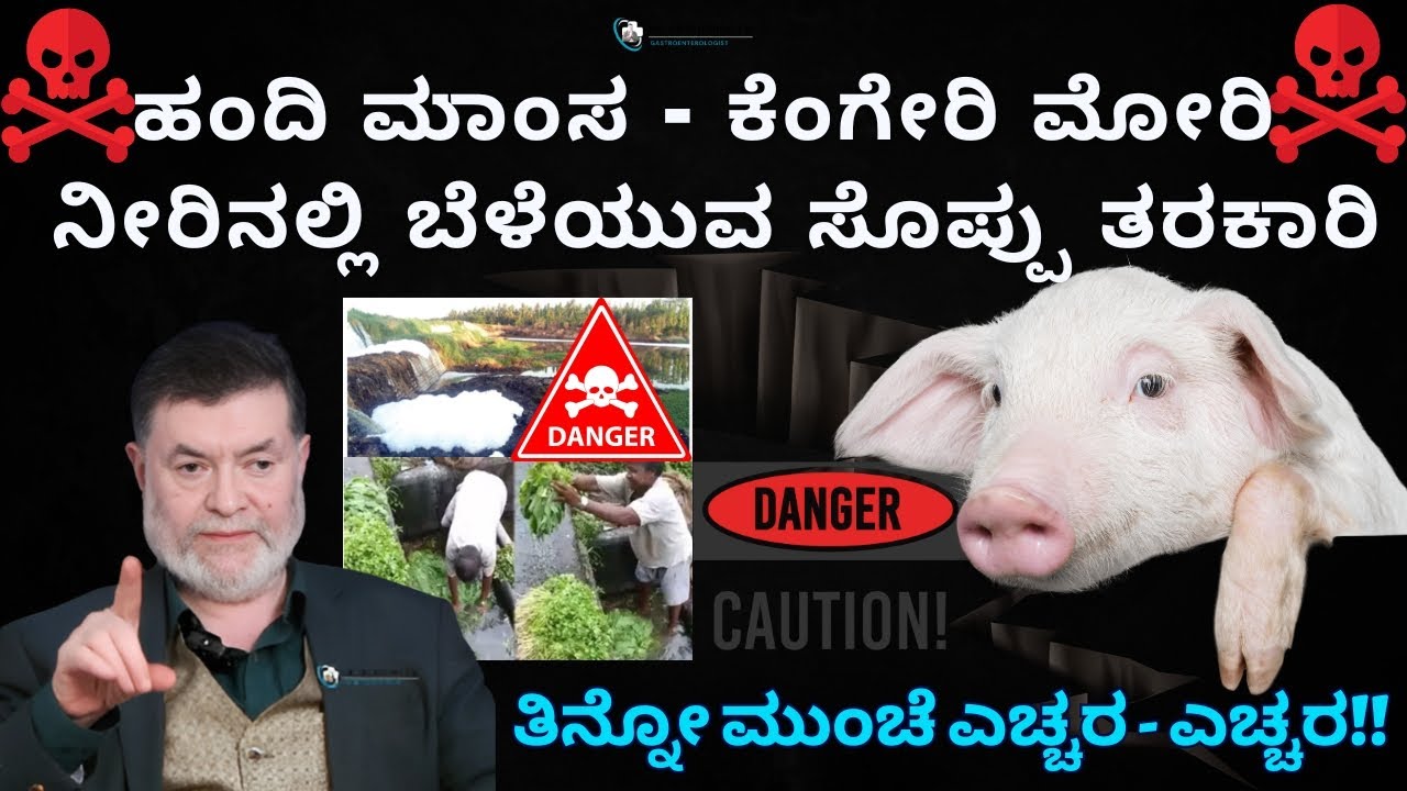 ಹಂದಿ ಮಾಂಸ - ಕೆಂಗೇರಿ ಮೋರಿ ನೀರಿನಲ್ಲಿ ಬೆಳೆಯುವ ಸೊಪ್ಪು ತರಕಾರಿ ತಿನ್ನೋ ಮುಂಚೆ ಎಚ್ಚರ!! - Dr. Anjanappa T H