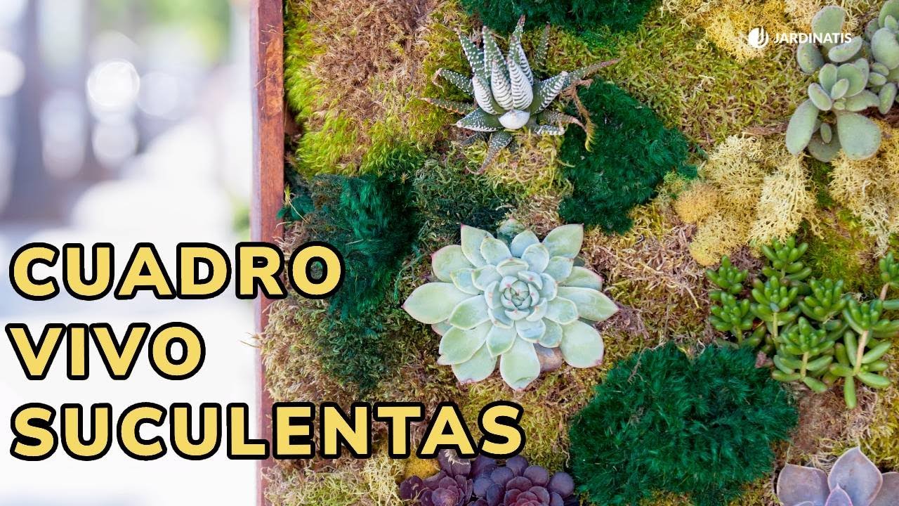 CUADRO VIVO con SUCULENTAS - Marco con suculentas PASO a PASO con Jardinatis