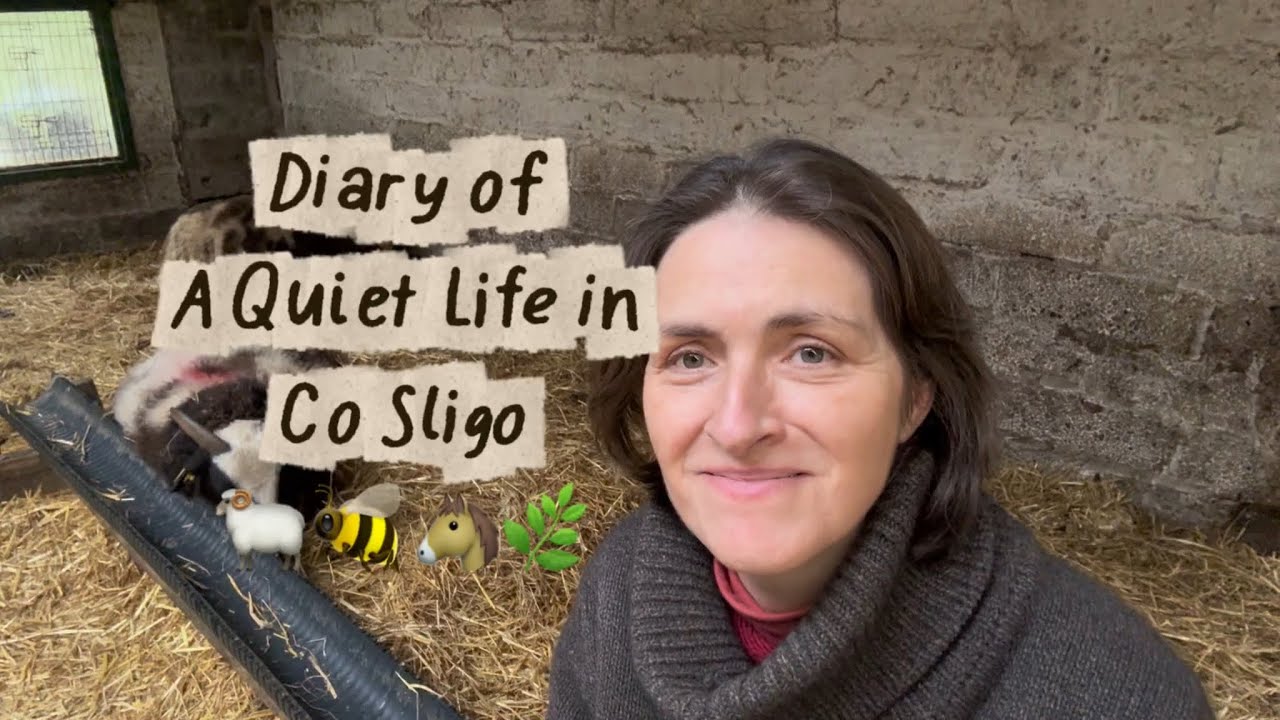 Juggling the Smallholding while Being a Full-Time Carer - Lambing - Epilepsy - Sheep