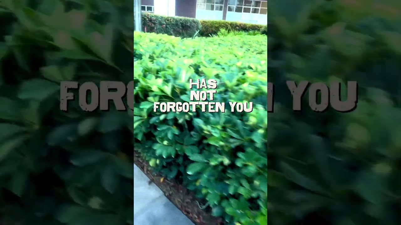 #GodWillFightForYou#FaithOverFear #TrustGod #ChristianEncouragement #RedSeaFaith #SpiritualGrowth