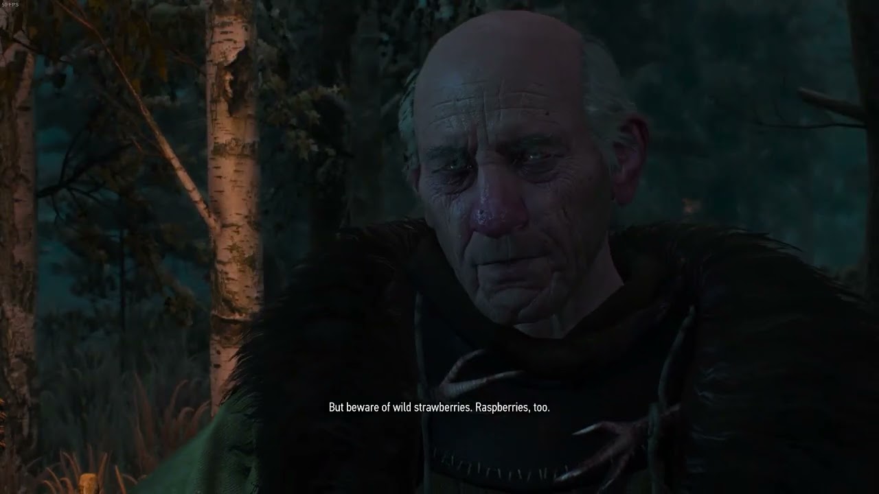 The Witcher 3: Wild Hunt, Episode 6