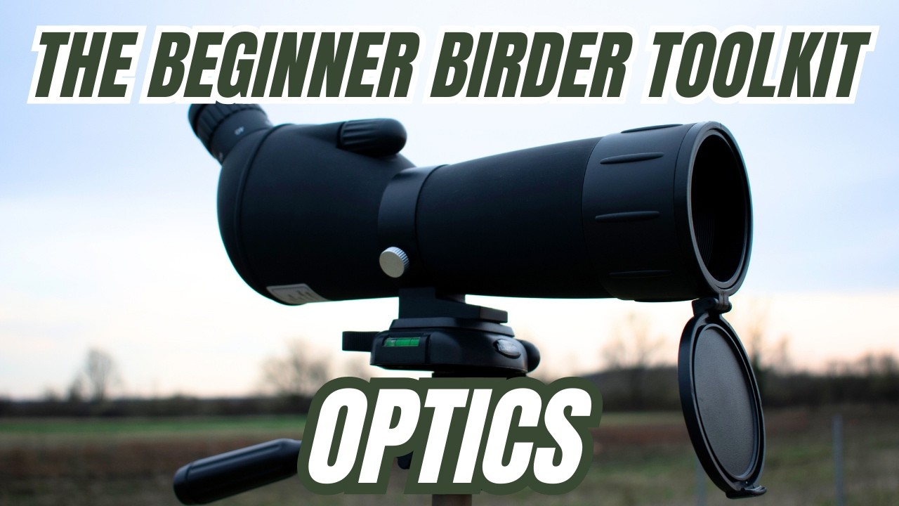 My Beginner Birding Optics Setup | Vortex Crossfire Binoculars & Vortex Viper Spotting Scope