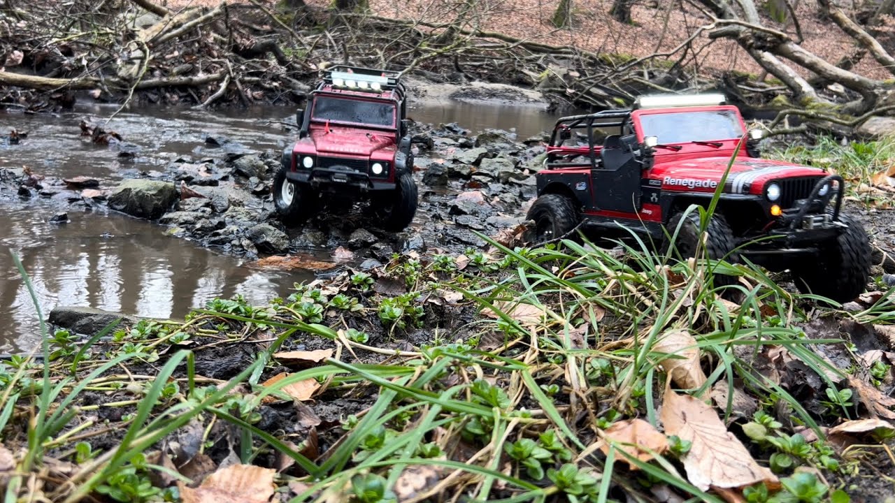 Rc4Life. A Rainfull Day In The Forest