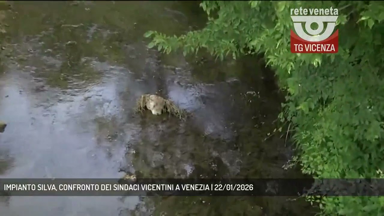 IMPIANTO SILVA, CONFRONTO DEI SINDACI VICENTINI A VENEZIA | 22/01/2026
