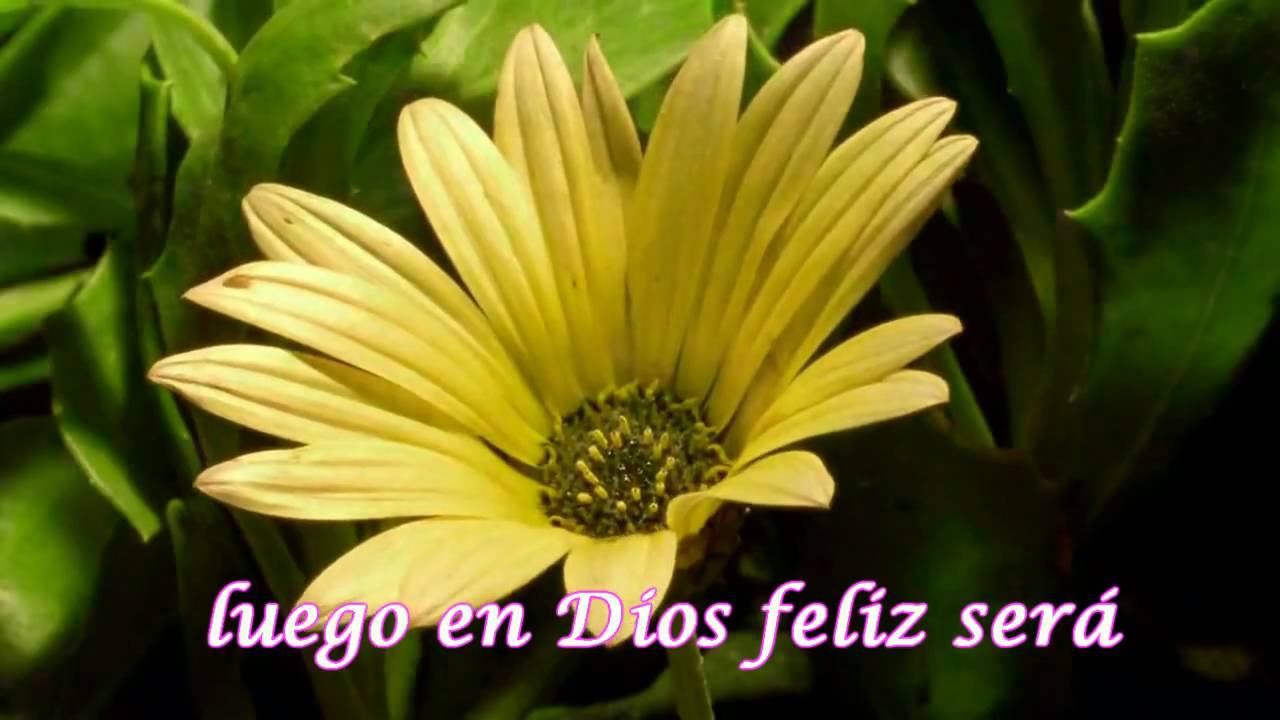 el secreto de las flores *( Ruth Ramirez )*
