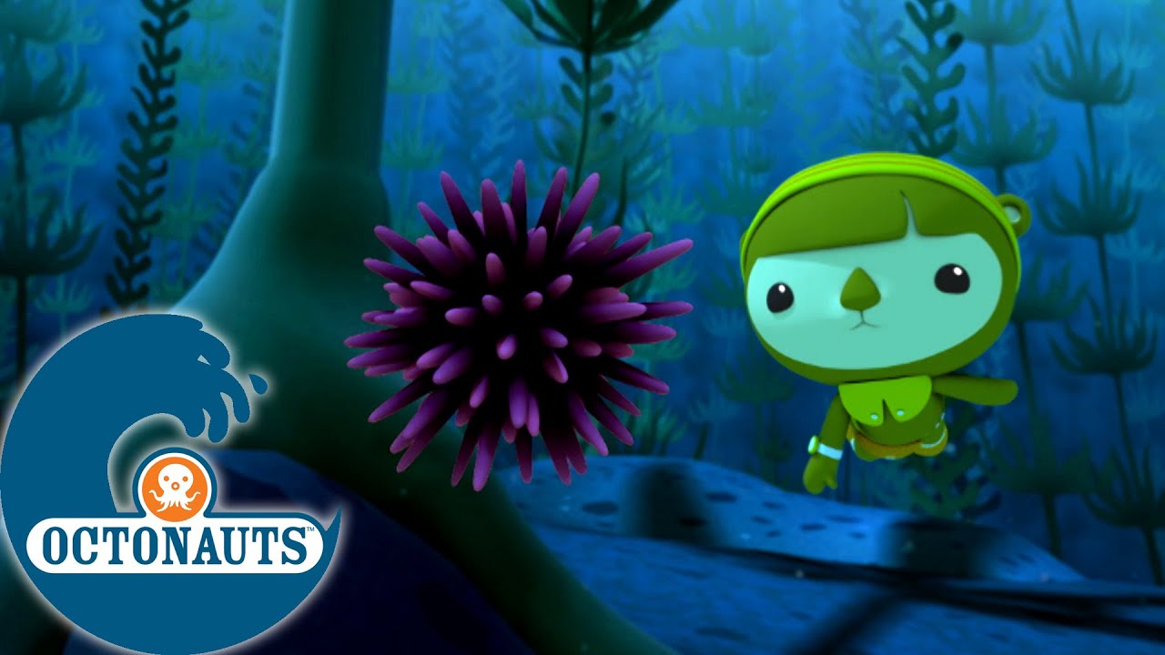 Octonauts - L'invasion des oursins et la méduse immortelle | Dessins animés pour enfants