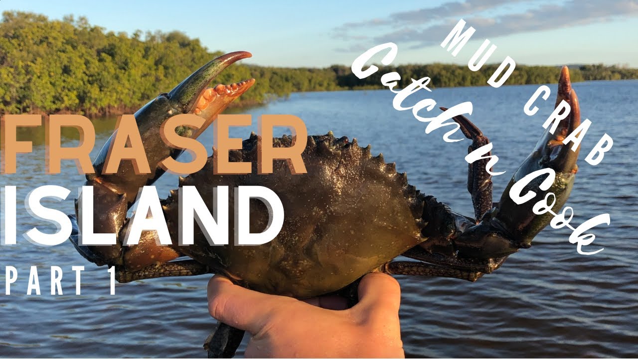 Fraser Island Fishing and Camping Part 1 Mud Crab and Fish Catch and Cook
