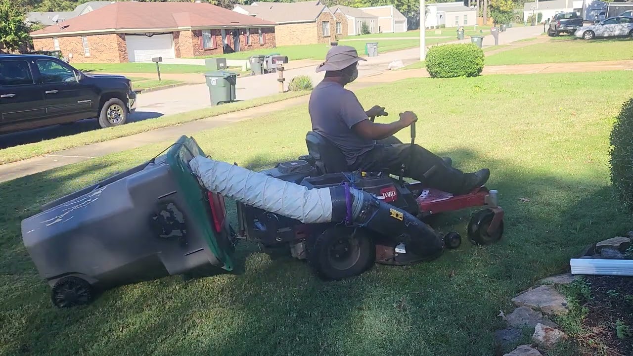 Pine Needle Cleanup PT7   11 11 2024