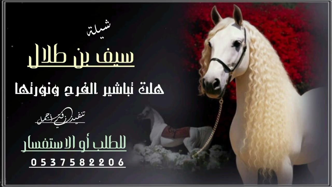 جديد شيلة هلت تباشير الفرح ونورتها ـــ  (حصريا)،، 2026