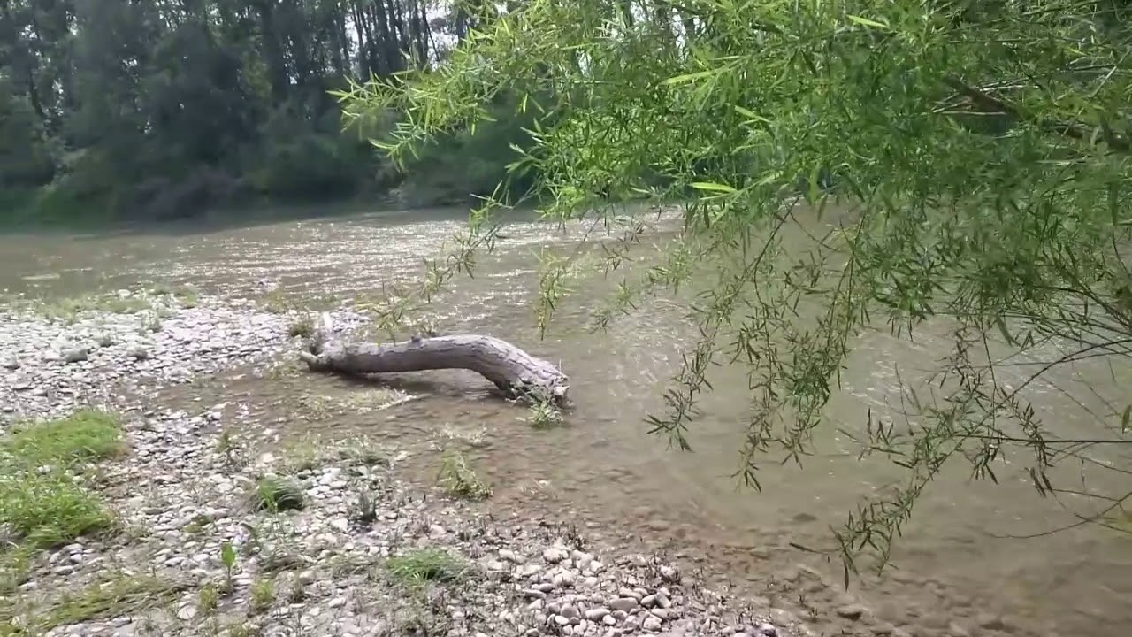 Wandern in Wien, Kurzwanderung Donauinsel Lobau