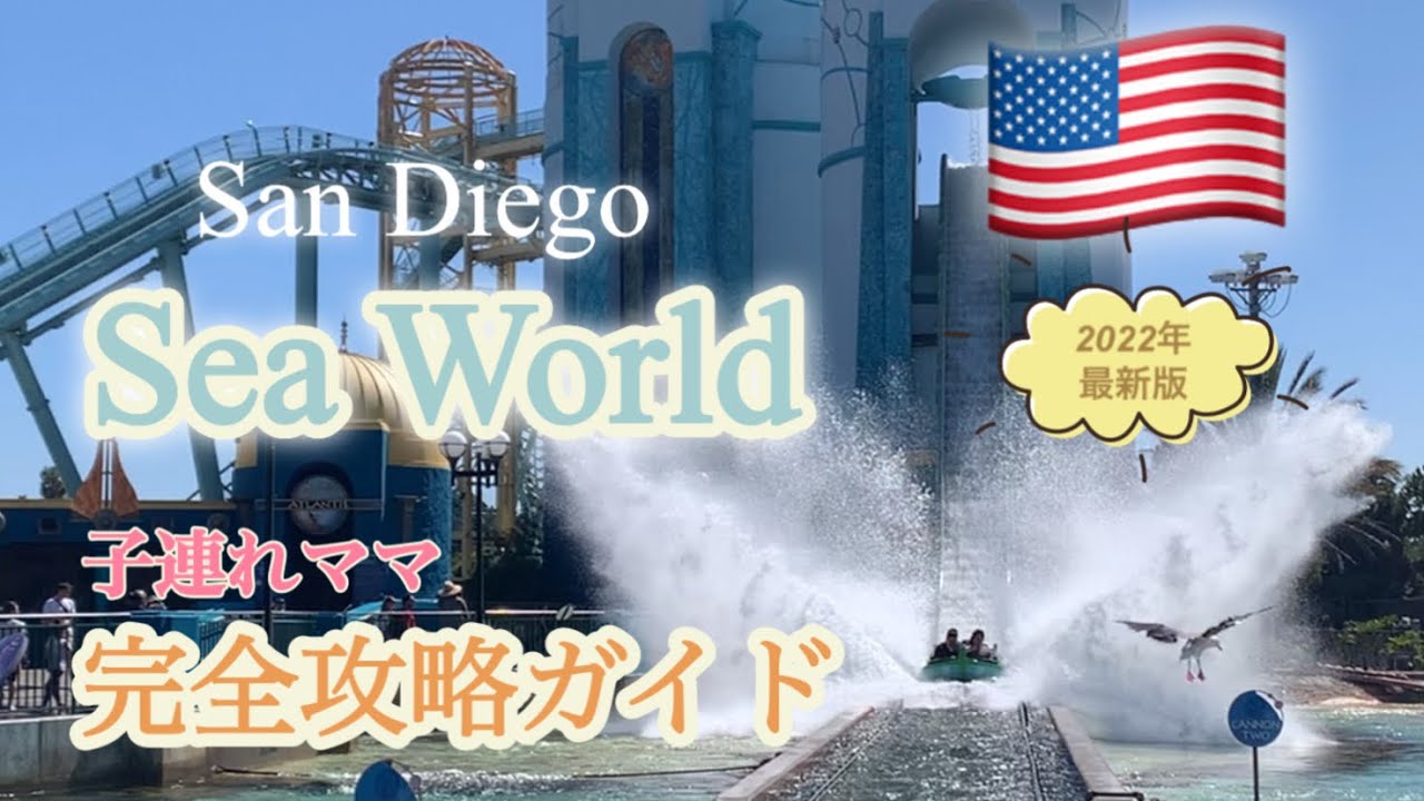 【アメリカ生活】Sea World San Diego    子連れママの完全攻略ガイド！！