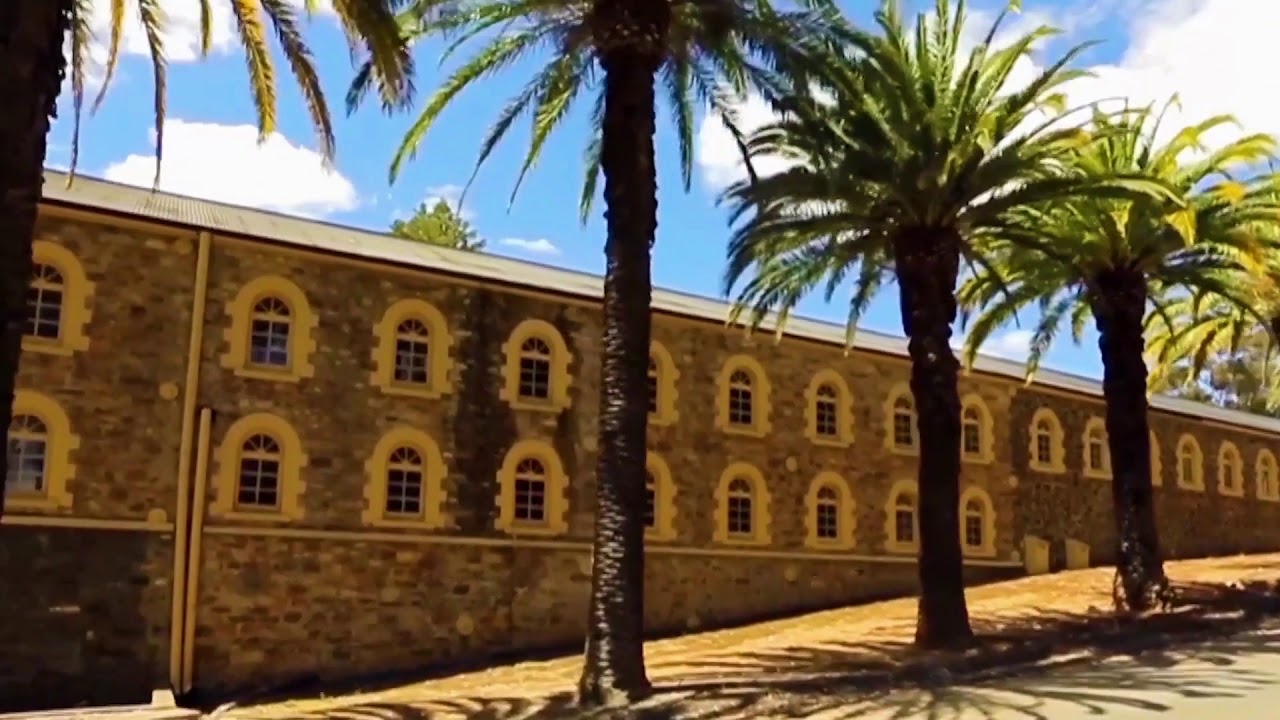 Seppeltsfield Estate | Experience Oz
