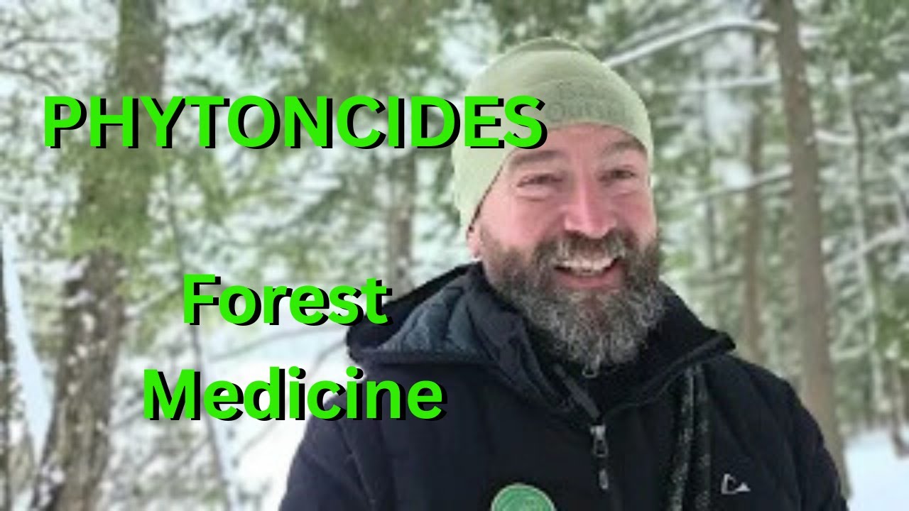 The One about Phytoncides, Forest Medicine.