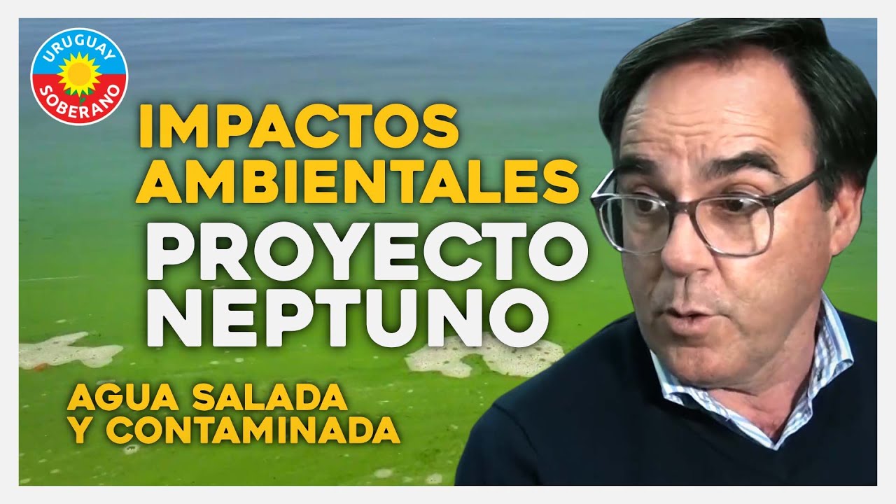 PROYECTO NEPTUNO - ARAZATÍ // IMPACTOS AMBIENTALES