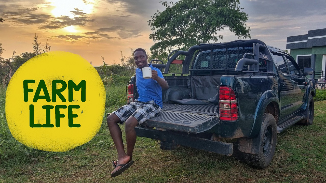 Life on My Great Farm