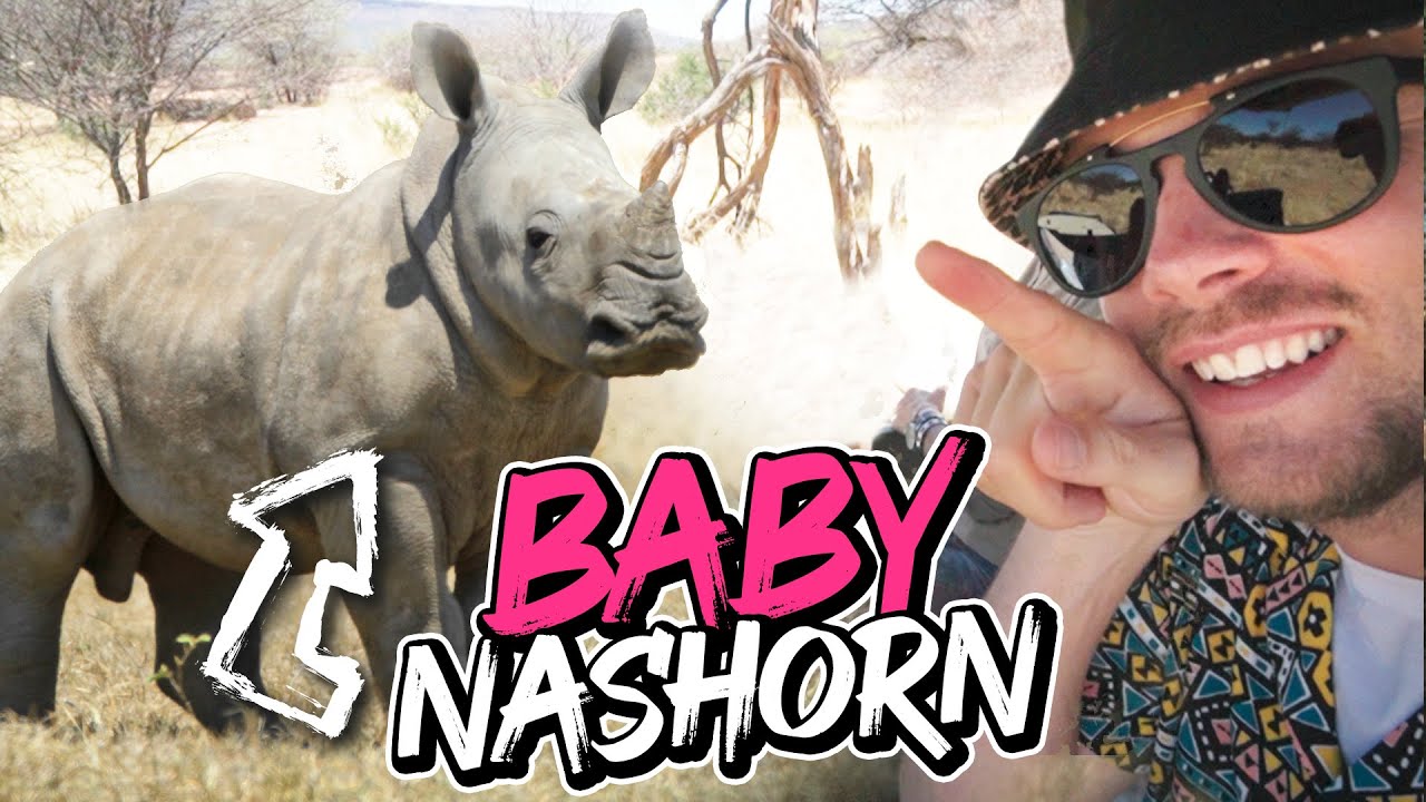 Baby Nashorn gerettet!