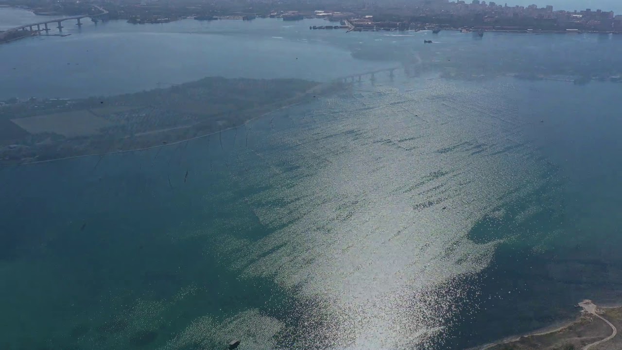 Citro Foce del Galeso