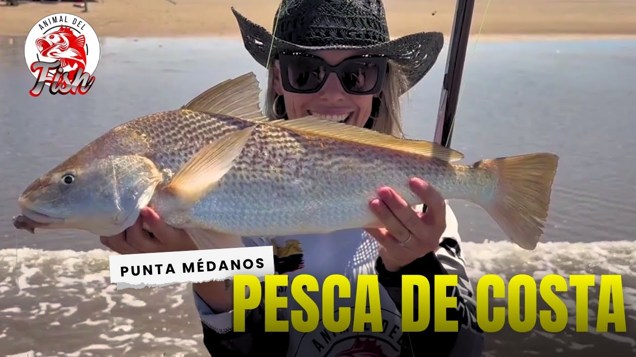 Rayas, corvinas, bagres y más | Real shore fishing