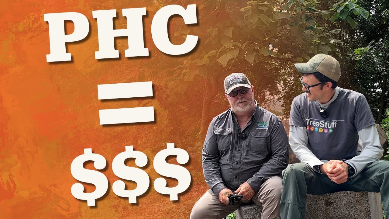 Why Should You Get Into PHC? - In Depth with Arborjet