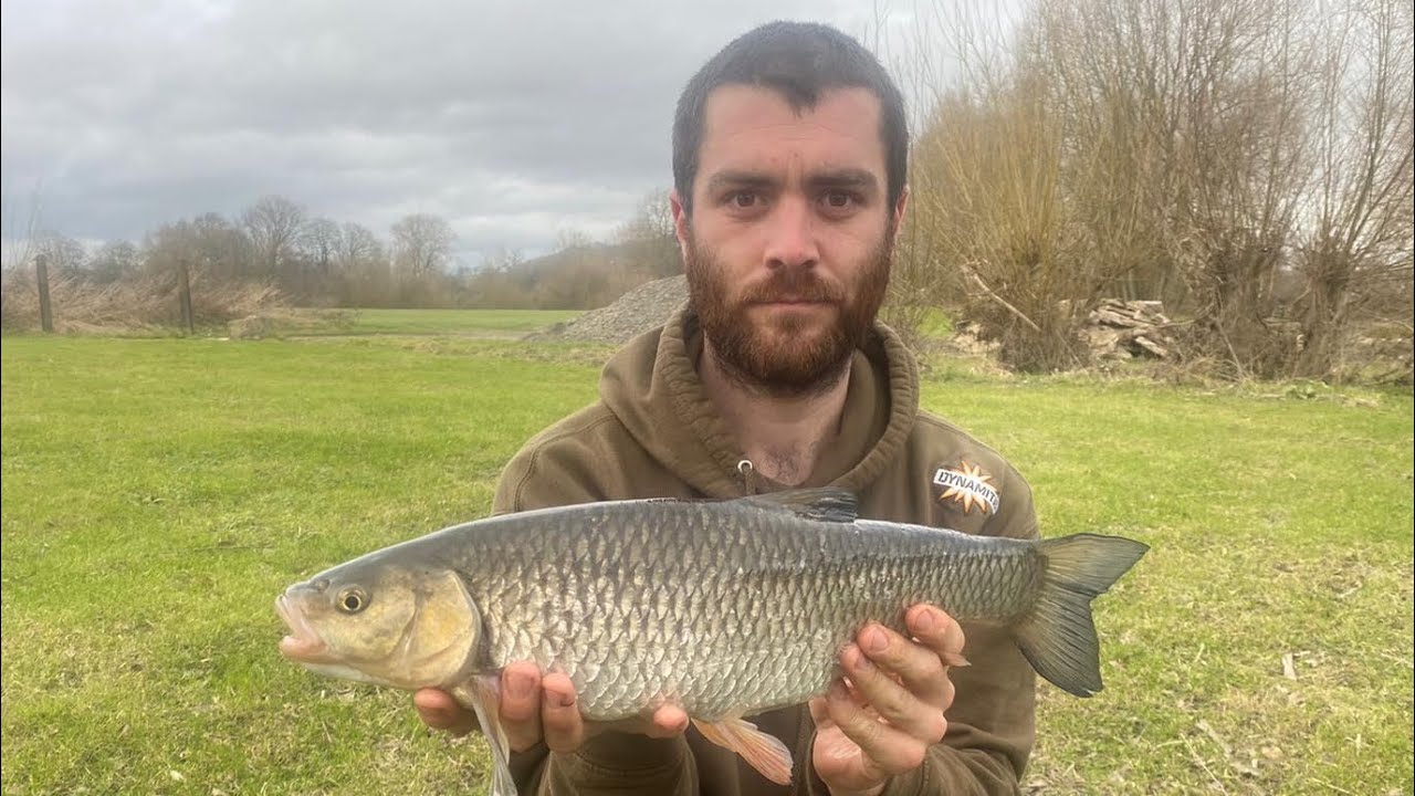 Cracking little chub took a liking to dynamite bait robin red boilies