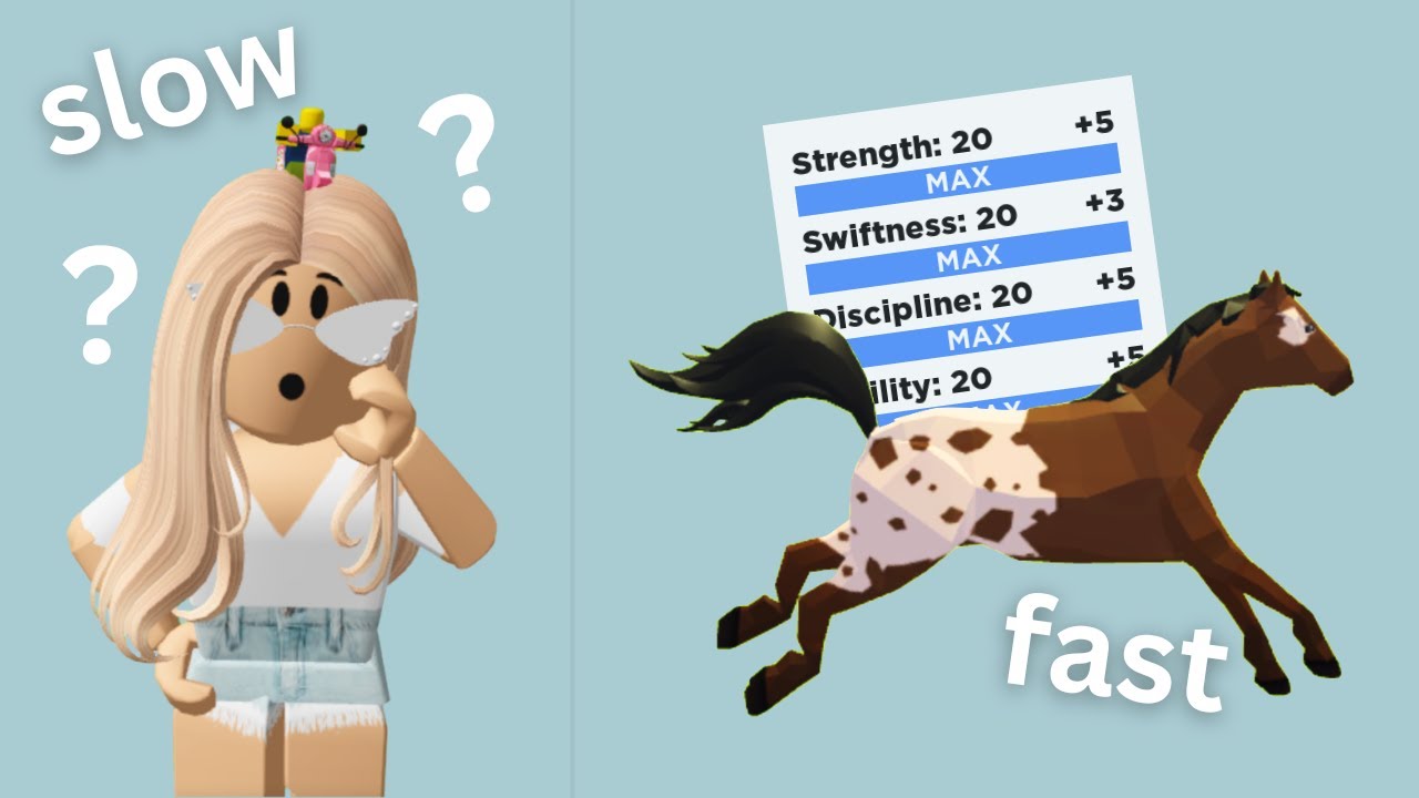 How To TRAIN Your Horse *quick and easy* | Horse Valley