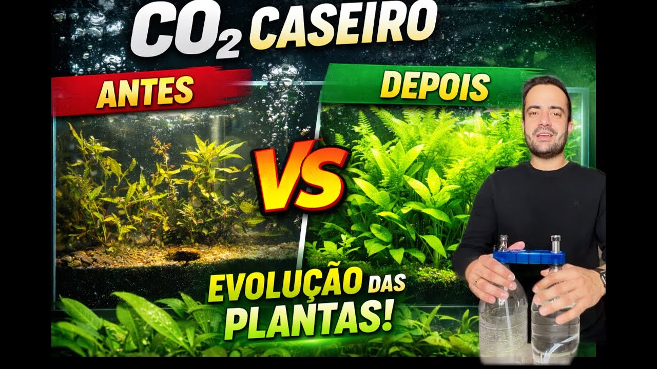 011 | Vale a Pena Usar CO₂ Caseiro? Resultado Real no Aquário!!!
