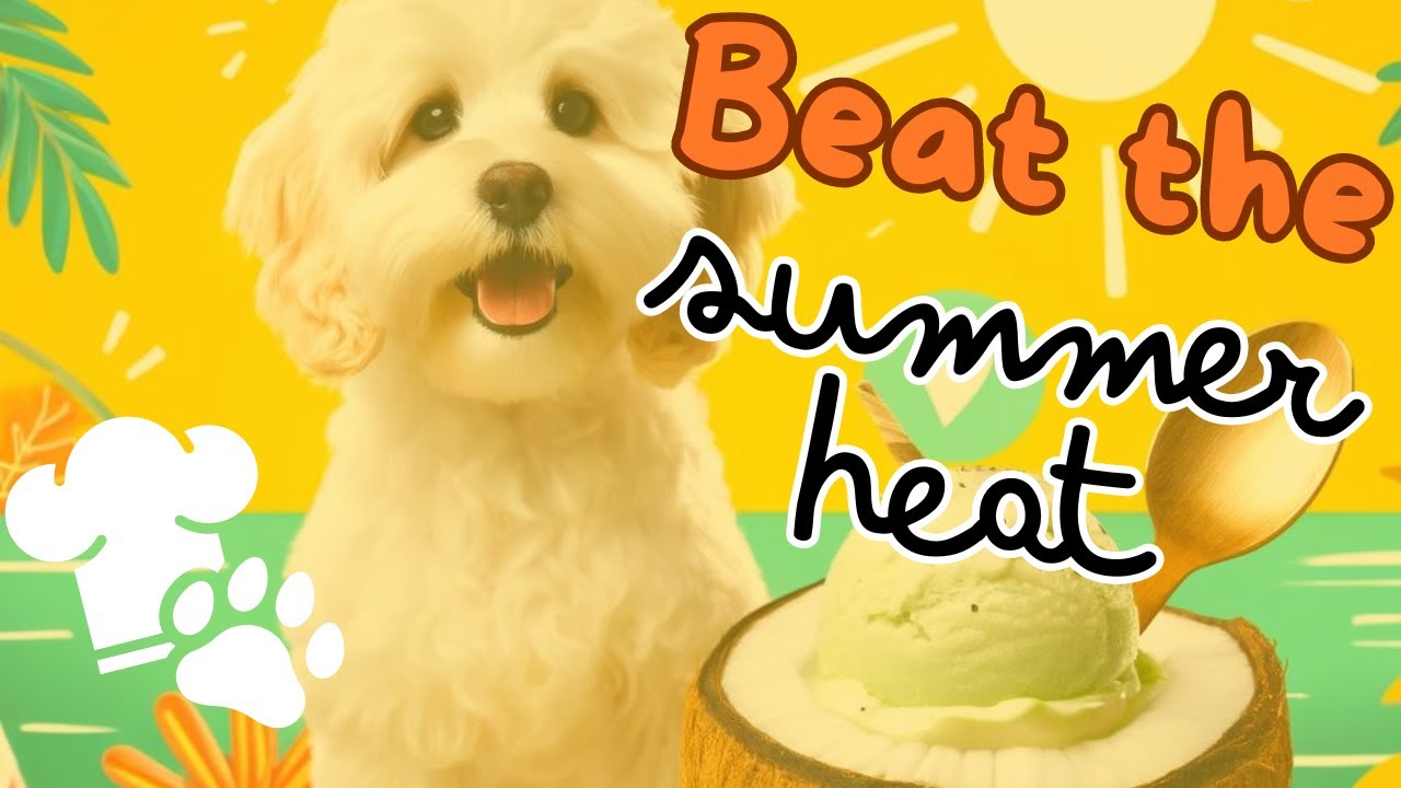 Dog-Friendly Coconut Ice Cream Recipe | Fun Summer Treat with Odin and Angel