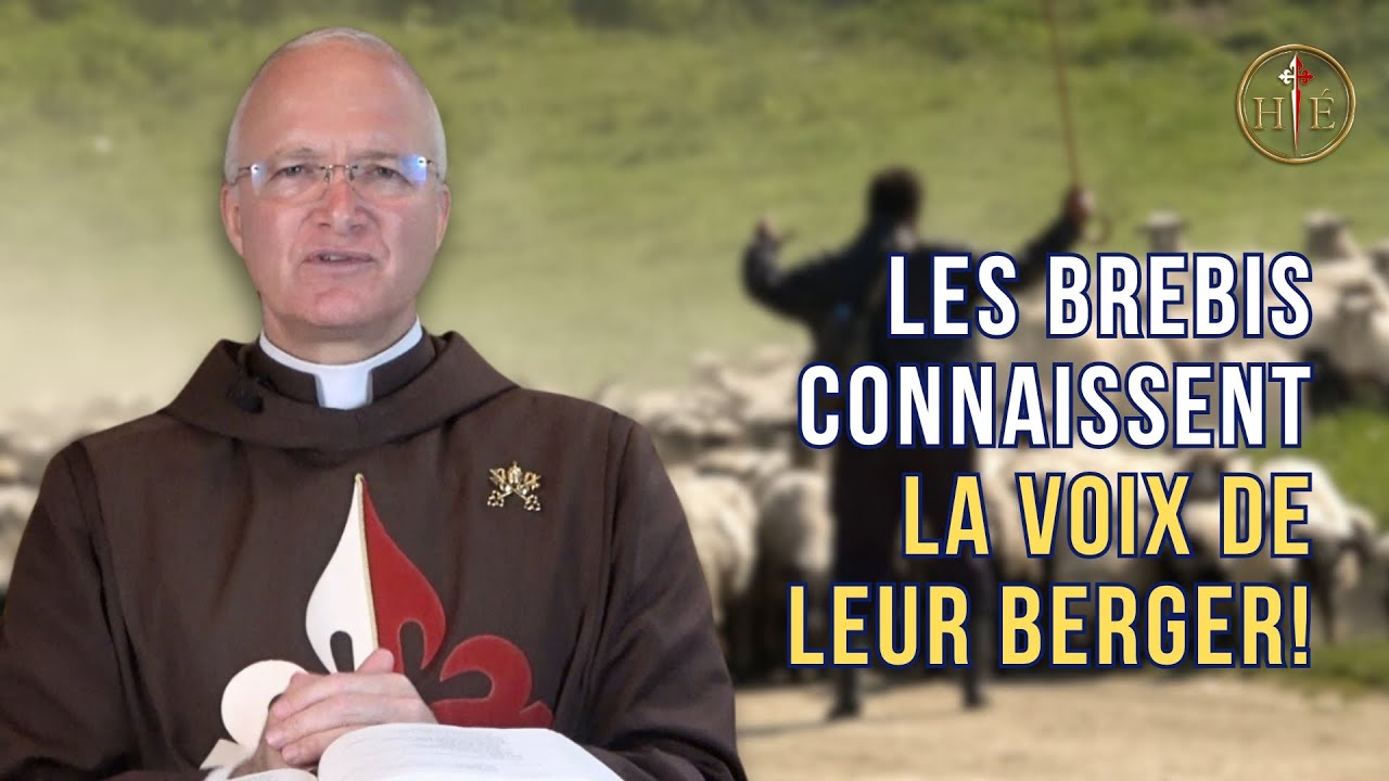 Les brebis connaissent la voix de leur berger! | Quatrième dimanche de Pâques | P. François Bandet