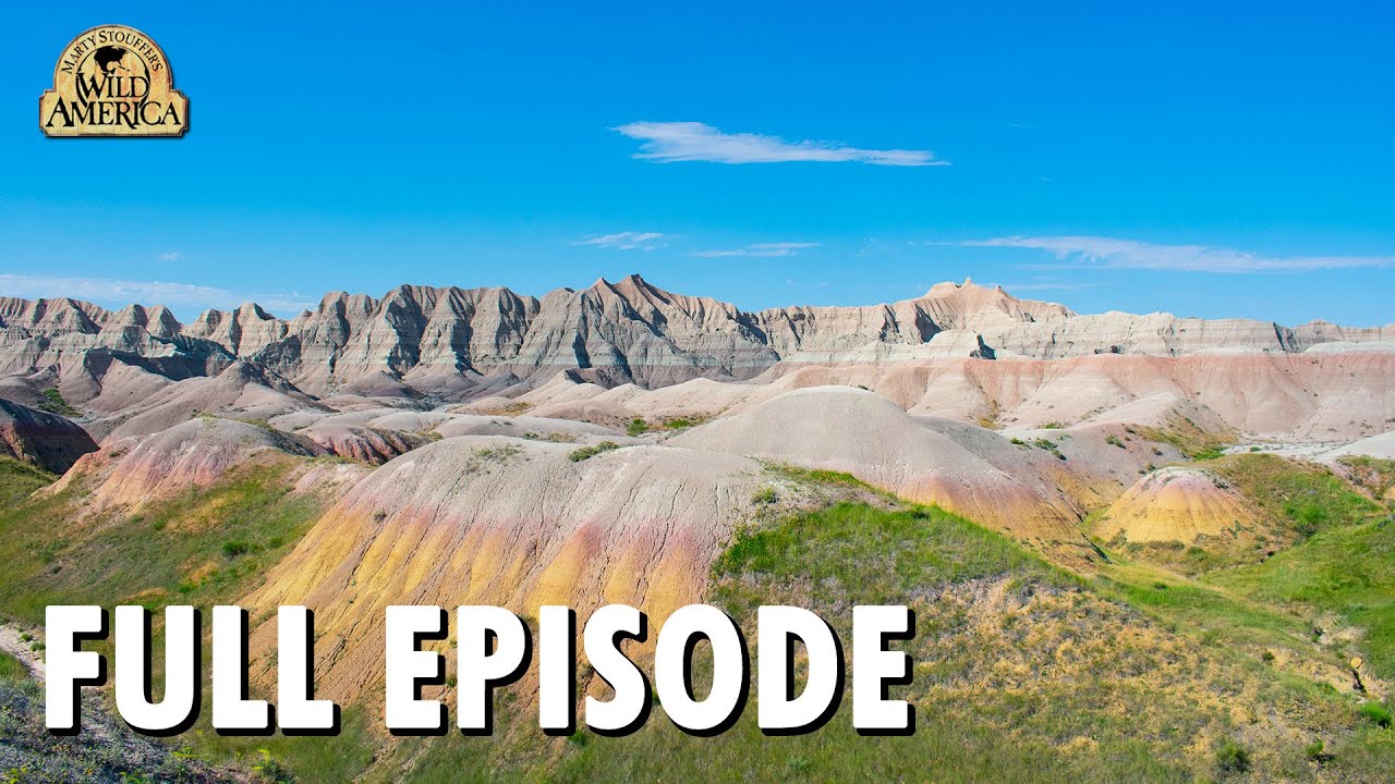 Wild America (1990) | S8 E1 'Badlands' | Full Episode | FANGS