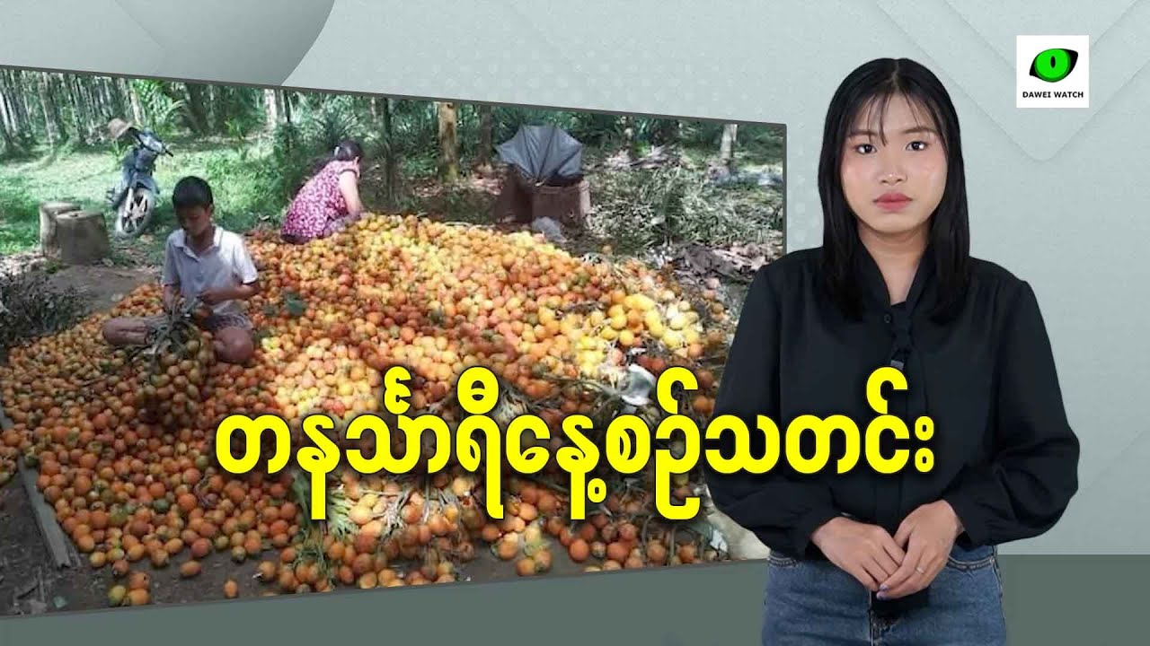 ဒီဇင်ဘာလ ၂၃ရက် တနင်္သာရီနေ့စဉ်သတင်း အစီအစဉ်