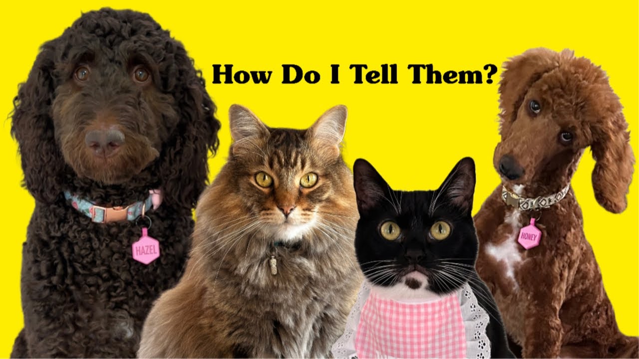 Один &mdash; это всё, что нам нужно. Читать описание 👇