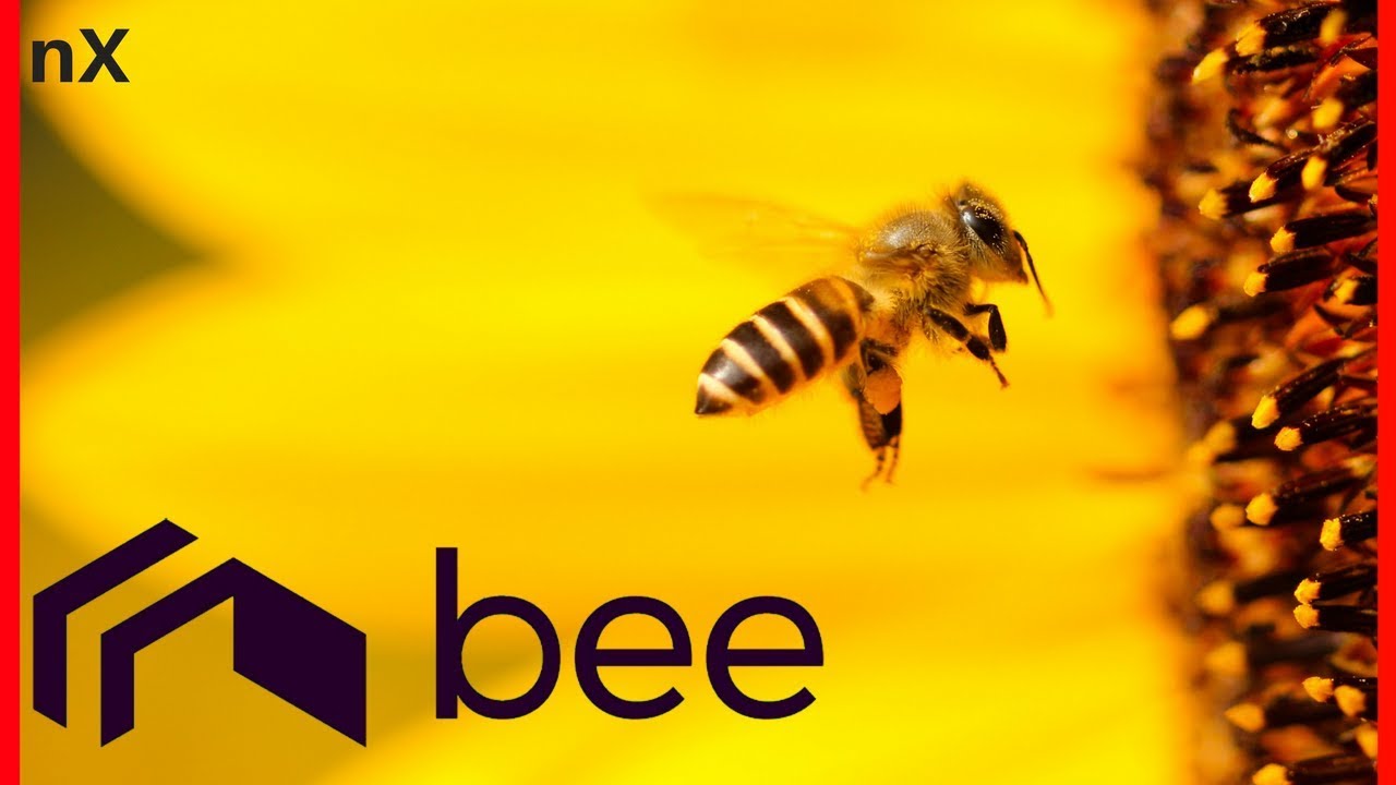Airbnb For Crypto?! - The Bee Token Review