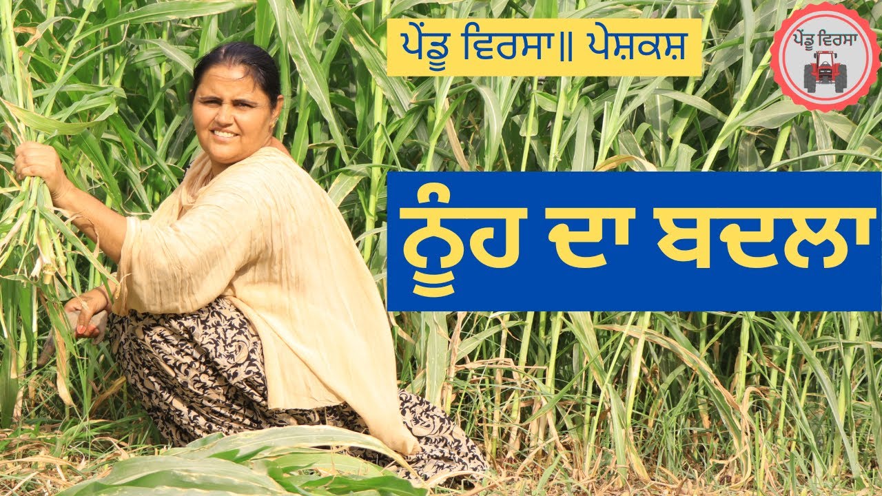 ਨੂੰਹ ਦਾ ਬਦਲਾ | nooh | new punjabi movie 2022 | Punjabi Natak |Punjabi Short Film | Mansa@PenduVirsaMansa