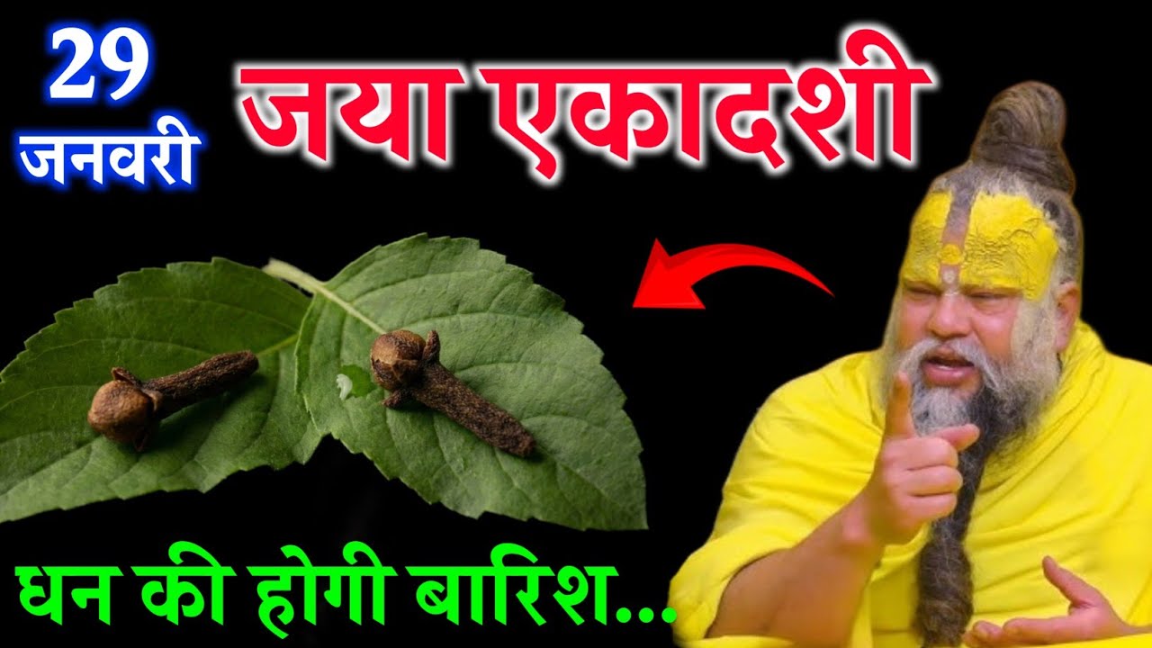 जया एकादशी के दिन तुलसी के पौधे का यह एक महाउपाय जरूर करें। धन की होगी बारिश..। Premanand Ji Maharaj