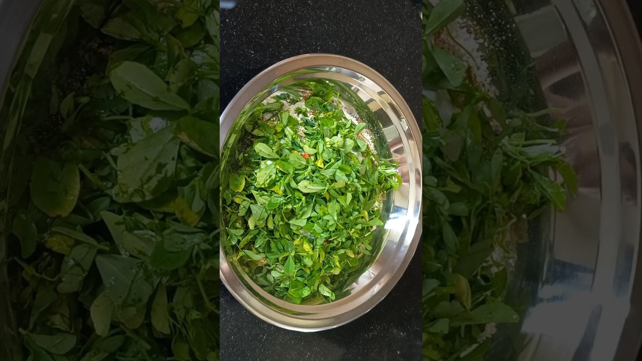 Gujarati Thepla 