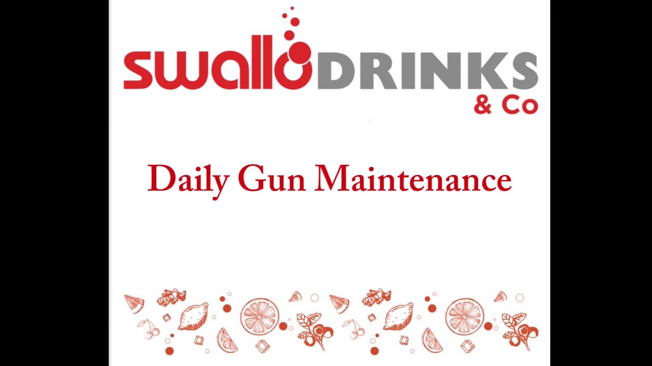 Daily Gun Maintenance