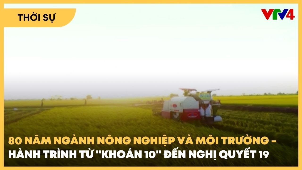 H&agrave;nh tr&igrave;nh từ 