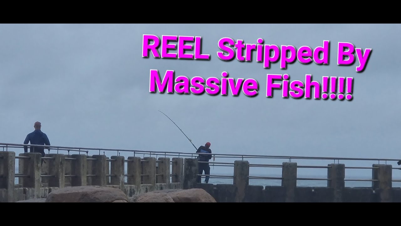 Reel stripped by Massive Fish 